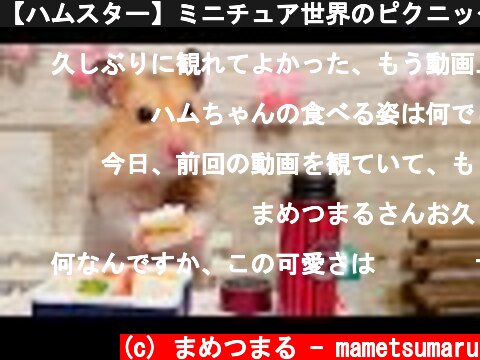 【ハムスター】ミニチュア世界のピクニック  (c) まめつまる - mametsumaru