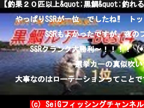 【釣果２０匹以上"黒鯛"釣れるルアーBest4】＆投げ比べ  (c) SeiGフィッシングチャンネル