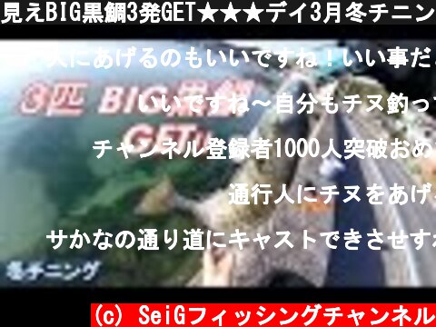 見えBIG黒鯛3発GET★★★デイ3月冬チニング  (c) SeiGフィッシングチャンネル