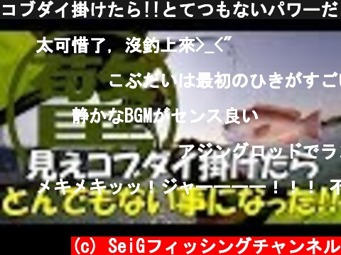 コブダイ掛けたら!!とてつもないパワーだったｗｗｗ  (c) SeiGフィッシングチャンネル