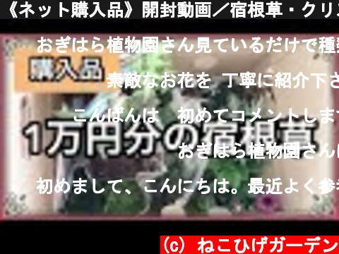 《ネット購入品》開封動画／宿根草・クリスマスローズ・クレマチス  (c) ねこひげガーデン