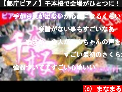 【都庁ピアノ】千本桜で会場がひとつに！！＋おまけ動画♪  (c) まなまる