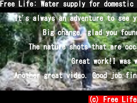 Free Life: Water supply for domestic use by bamboo pipes (new water source), living off grid  (c) Free Life
