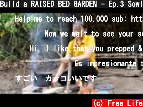 Build a RAISED BED GARDEN - Ep.3 Sowing seeds and enjoy food from nature | living off grid  (c) Free Life