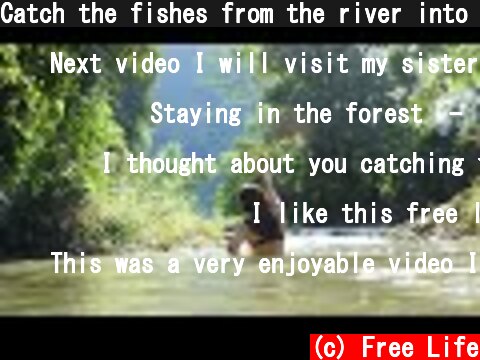Catch the fishes from the river into my pond & enjoy them swimming in the pond | FREE LIFE - Ep. 34  (c) Free Life