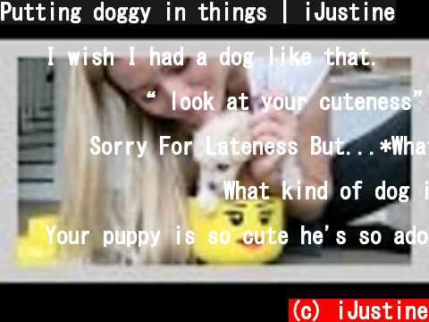 Putting doggy in things | iJustine  (c) iJustine