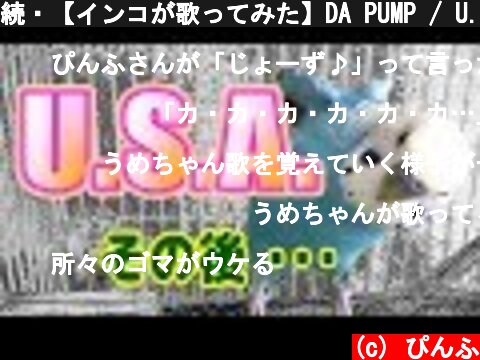 続・【インコが歌ってみた】DA PUMP / U.S.A.　セキセイインコ・うめ  (c) ぴんふ
