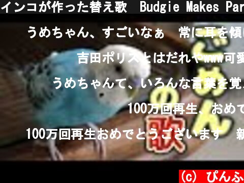 インコが作った替え歌　Budgie Makes Parody Song  (c) ぴんふ