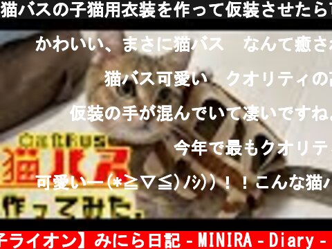 猫バスの子猫用衣装を作って仮装させたら可愛すぎて辛い…【ハロウィンhalloween】Neko bus　My Neighbor Totoro  (c) 【子ライオン】みにら日記‐MINIRA‐Diary‐