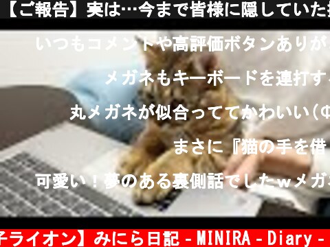 【ご報告】実は…今まで皆様に隠していた撮影の裏側がありました…  (c) 【子ライオン】みにら日記‐MINIRA‐Diary‐