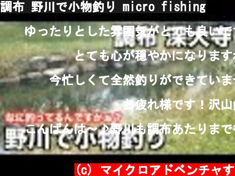 調布 野川で小物釣り micro fishing  (c) マイクロアドベンチャす
