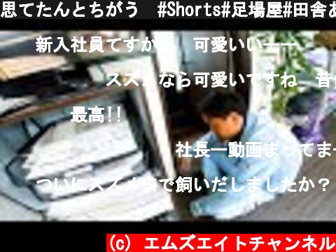 思てたんとちがう😳#Shorts#足場屋#田舎あるある#侵入者#すずめ  (c) エムズエイトチャンネル
