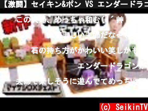 【激闘】セイキン&ポン VS エンダードラゴン！マインクラフト消しゴム「マイケシ」の新作がスゴイ！  (c) SeikinTV