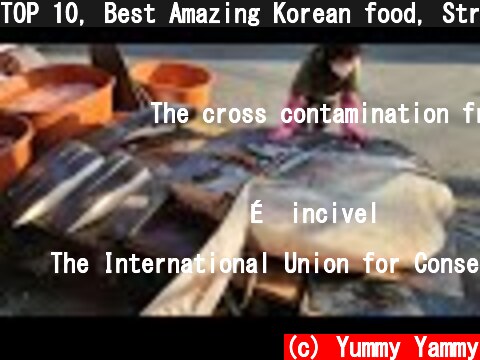 TOP 10, Best Amazing Korean food, Street food / TOP 10, 정말 놀라운 한국 음식과 길거리음식 몰아보기  (c) Yummy Yammy