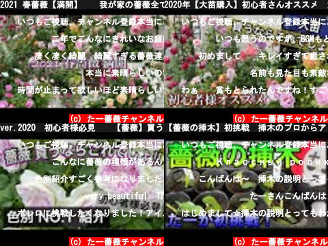 たー薔薇チャンネル（おすすめch紹介）