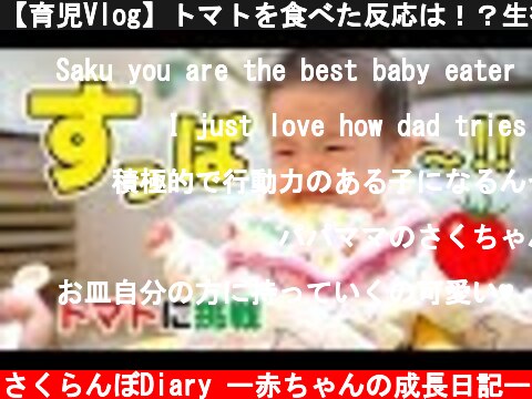 【育児Vlog】トマトを食べた反応は！？生後6ヶ月赤ちゃん！  (c) さくらんぼDiary ー赤ちゃんの成長日記ー