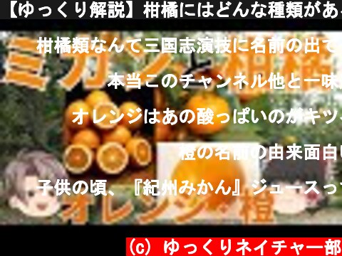 【ゆっくり解説】柑橘にはどんな種類がある？ミカンや、オレンジ、ダイダイとの違いは？  (c) ゆっくりネイチャー部