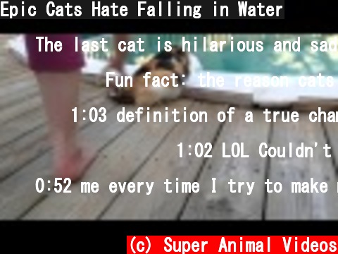 Epic Cats Hate Falling in Water  (c) Super Animal Videos