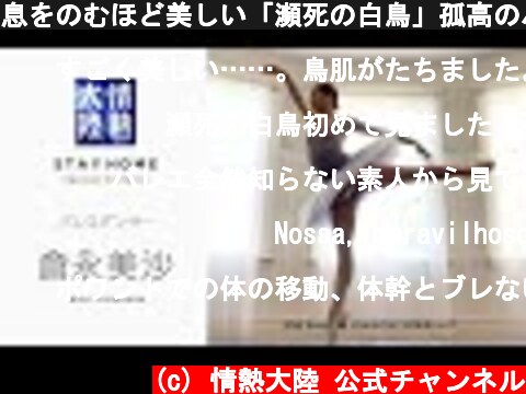 息をのむほど美しい「瀕死の白鳥」孤高のバレエダンサー倉永美沙 ／ Misa Kuranaga - Dying Swan【StayHome】  (c) 情熱大陸 公式チャンネル