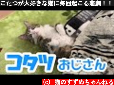 こたつが大好きな猫に毎回起こる悲劇！！ vol.51 【保護猫】Suzume cat like "kotatsu".  (c) 猫のすずめちゃんねる
