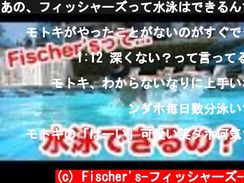 あの、フィッシャーズって水泳はできるんですか？？  (c) Fischer's-フィッシャーズ-