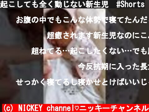 起こしても全く動じない新生児　#Shorts  (c) NICKEY channel♡ニッキーチャンネル