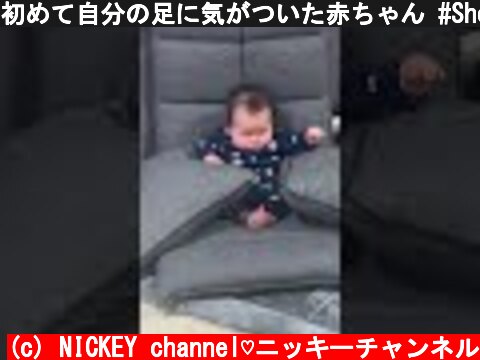 初めて自分の足に気がついた赤ちゃん #Shorts  (c) NICKEY channel♡ニッキーチャンネル