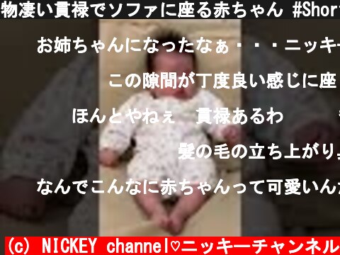 物凄い貫禄でソファに座る赤ちゃん #Shorts  (c) NICKEY channel♡ニッキーチャンネル