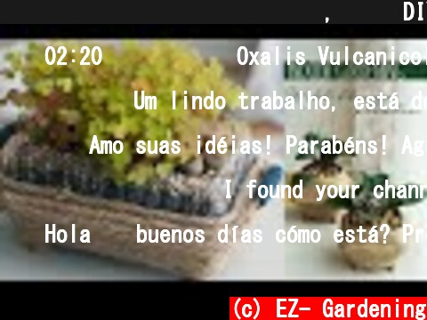 라탄바구니 스타일 화분 만들기, 마끈 DIY 플라스틱 재활용, 야생화 베란다 월동했어요 : Jute DIY plastic recycling, wildflower veranda  (c) EZ- Gardening
