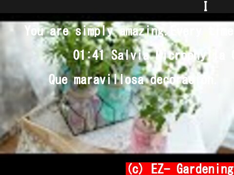 미세먼지 제거를 위한 테이블 연출 I 유리잔과 수경식물 I 젤리소일 ⛵ Glass bottle & Plants 🌊  (c) EZ- Gardening