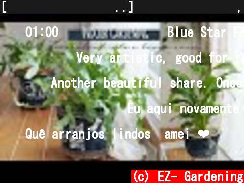 [청바지 플랜테리어..] 플라스틱 재활용, 봄맞이 분갈이, 비료 주기 : Pot Made of Jeans, Plastic recycling, Fertilizer cycle tips  (c) EZ- Gardening