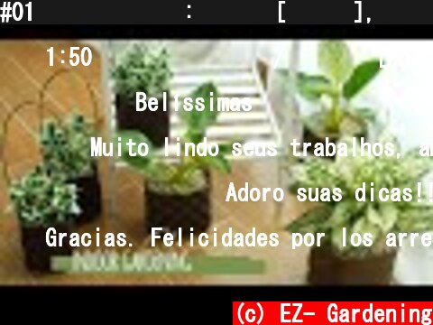 #01 체크 바구니 : 펠트지[부직포], 공기정화, 플라스틱 재활용 : Check basket flowerpot, air purification, plastic recycling  (c) EZ- Gardening