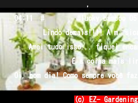 수경재배에 어울리는 식물, 색돌로 수경식물 키워보기 #개운죽 #율마 #시페루스 : 플라스틱 재사용 : hydroponics  (c) EZ- Gardening