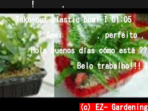 공기정화! 중금속, 미세먼지 제거에 탁월한 식물 심기 [음식용기 재활용] Recycling or Up-cycling & Plastic Recycling, INDOOR Plants  (c) EZ- Gardening