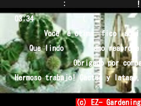 깡통에 선인장심기: 작은 몸집에 존재감!,레터링,손잡이 끈 Planting cactus in cans, Succulent plant, recycle, Indoor Gardening  (c) EZ- Gardening