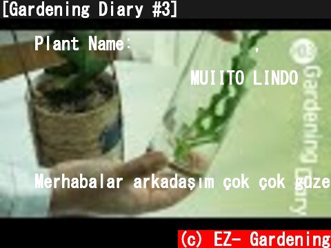 [Gardening Diary #3] 다육식물 뿌리내리기, 줄기 번식 '삽목', 웃자람, 토양 환경을 바꿔주기, 해충관리 깍지벌레 '개각충'  (c) EZ- Gardening