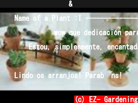 키친타올 걸이 변신 & 미니 토분 행잉 플랜트 : 다육이를 심었어요 [Succulents are planted in mini Flowerpot]  (c) EZ- Gardening