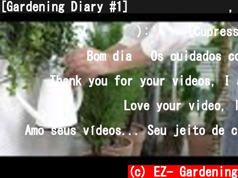 [Gardening Diary #1] 율마 분갈이하기, 가지치기, 삽목, 새로운 식물소개, 이별하는 식물  (c) EZ- Gardening
