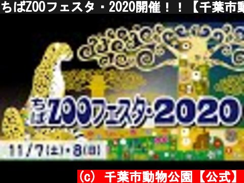 ちばZOOフェスタ・2020開催！！【千葉市動物公園公式】  (c) 千葉市動物公園【公式】