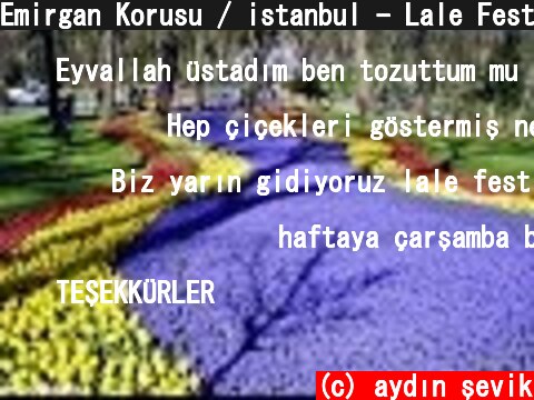 Emirgan Korusu / istanbul - Lale Festivali / Tulip Feast   [HD Video]  (c) aydın şevik