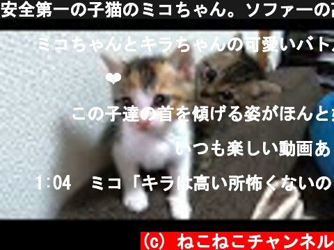 安全第一の子猫のミコちゃん。ソファーの高さに躊躇したミコちゃん。どうやって降りるの？【赤ちゃん猫】【保護猫】  (c) ねこねこチャンネル