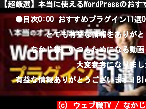 【超厳選】本当に使えるWordPressのおすすめプラグイン11選【初心者向け】  (c) ウェブ職TV / なかじ