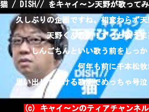 猫 / DISH// をキャイ～ン天野が歌ってみた【AMANO-KUN TAKE No.1】  (c) キャイ〜ンのティアチャンネル