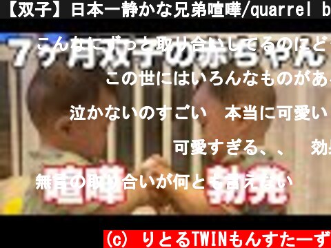 【双子】日本一静かな兄弟喧嘩/quarrel between twin brothers very quiet  (c) りとるTWINもんすたーず