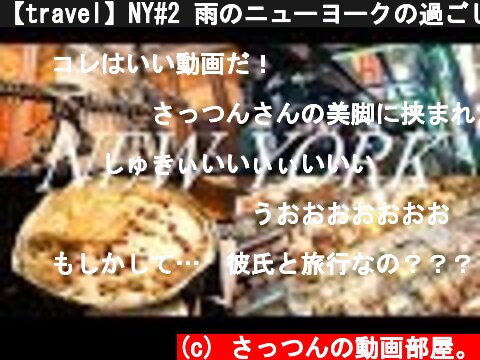 【travel】NY#2 雨のニューヨークの過ごし方  (c) さっつんの動画部屋。