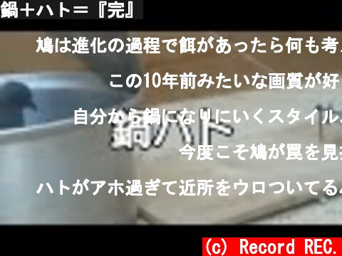 鍋＋ハト＝『完』  (c) Record REC.