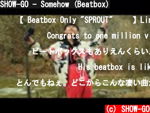 SHOW-GO - Somehow (Beatbox)  (c) SHOW-GO