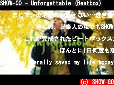 SHOW-GO - Unforgettable (Beatbox)  (c) SHOW-GO