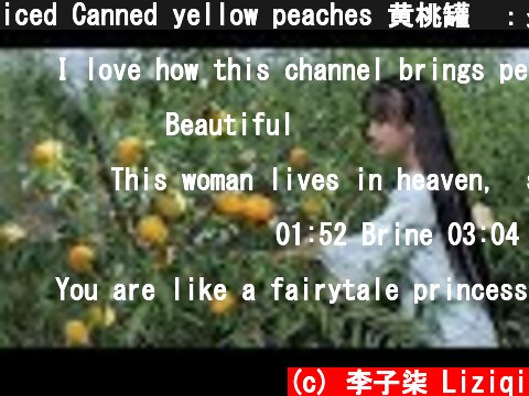 iced Canned yellow peaches 黄桃罐头：炎炎夏日，来罐冰镇黄桃罐头怎么样？丨Liziqi Channel  (c) 李子柒 Liziqi