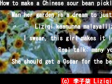 How to make a Chinese sour bean pickle? 吃不完的豆角晾足日头，做成干豇豆炖肉喷香|Liziqi channel  (c) 李子柒 Liziqi